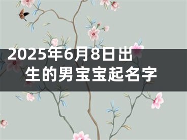 2025年6月8日出生的男宝宝起名字