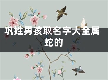 巩姓男孩取名字大全属蛇的