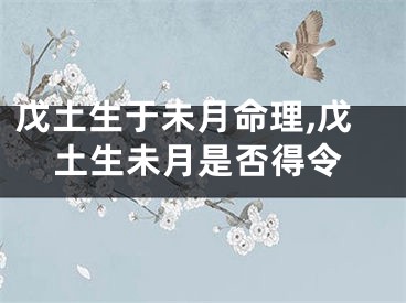 戊土生于未月命理,戊土生未月是否得令
