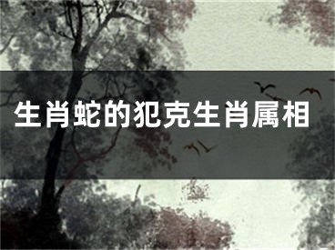 生肖蛇的犯克生肖属相