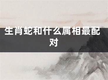 生肖蛇和什么属相最配对