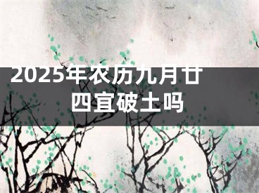 2025年农历九月廿四宜破土吗