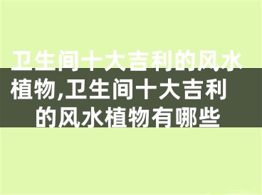 卫生间十大吉利的风水植物,卫生间十大吉利的风水植物有哪些
