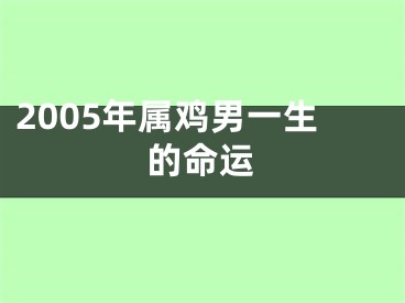 2005年属鸡男一生的命运