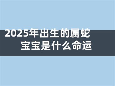 2025年出生的属蛇宝宝是什么命运