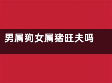 男属狗女属猪旺夫吗 