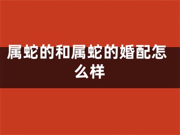 属蛇的和属蛇的婚配怎么样