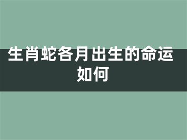 生肖蛇各月出生的命运如何