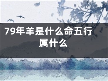 79年羊是什么命五行属什么