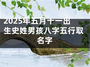 2025年五月十一出生史姓男孩八字五行取名字