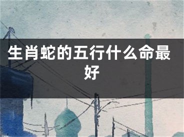 生肖蛇的五行什么命最好