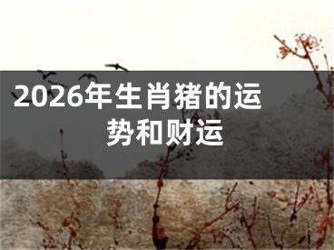 2026年生肖猪的运势和财运