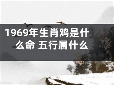 1969年生肖鸡是什么命 五行属什么