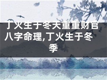 丁火生于冬天重重财官八字命理,丁火生于冬季