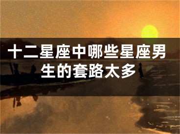 十二星座中哪些星座男生的套路太多