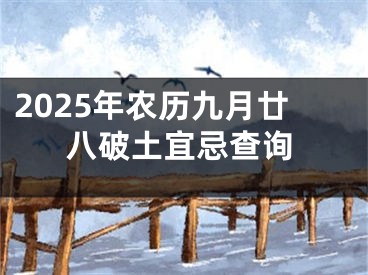 2025年农历九月廿八破土宜忌查询