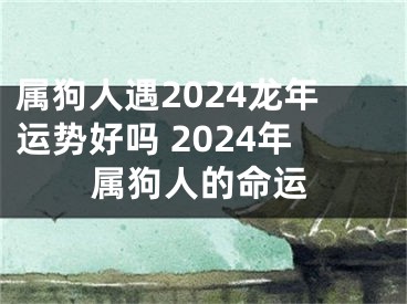属狗人遇2024龙年运势好吗 2024年属狗人的命运
