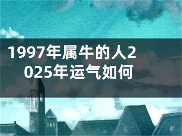 1997年属牛的人2025年运气如何