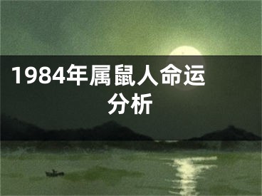 1984年属鼠人命运分析