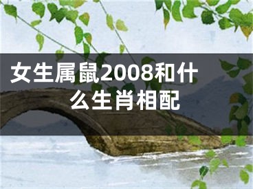 女生属鼠2008和什么生肖相配