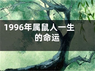 1996年属鼠人一生的命运
