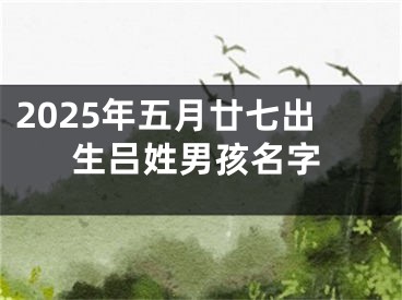 2025年五月廿七出生吕姓男孩名字
