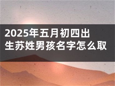 2025年五月初四出生苏姓男孩名字怎么取