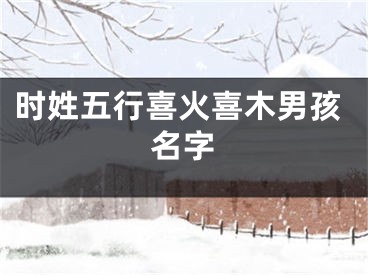 时姓五行喜火喜木男孩名字