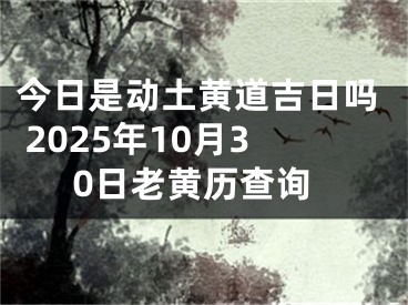 今日是动土黄道吉日吗 2025年10月30日老黄历查询