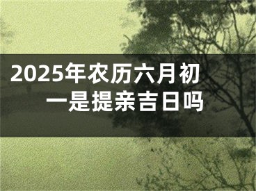 2025年农历六月初一是提亲吉日吗