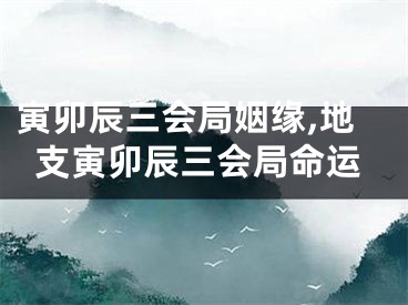 寅卯辰三会局姻缘,地支寅卯辰三会局命运