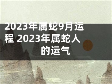 2023年属蛇9月运程 2023年属蛇人的运气