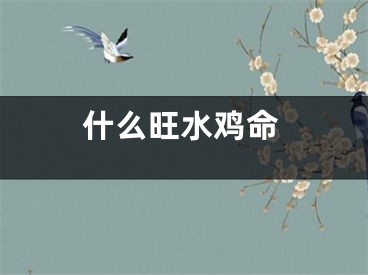 什么旺水鸡命