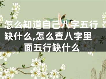 怎么知道自己八字五行缺什么,怎么查八字里面五行缺什么