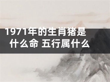 1971年的生肖猪是什么命 五行属什么