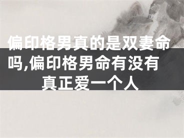 偏印格男真的是双妻命吗,偏印格男命有没有真正爱一个人