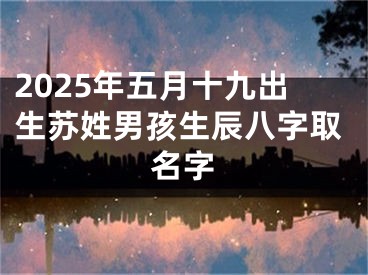 2025年五月十九出生苏姓男孩生辰八字取名字
