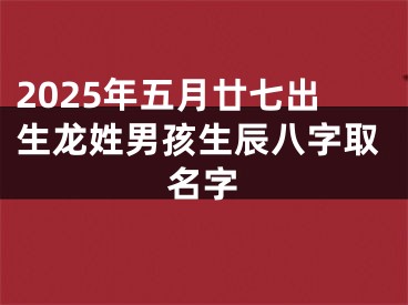 2025年五月廿七出生龙姓男孩生辰八字取名字