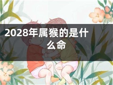 2028年属猴的是什么命