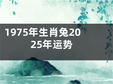 1975年生肖兔2025年运势