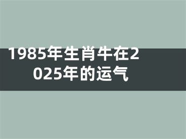 1985年生肖牛在2025年的运气