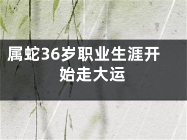 属蛇36岁职业生涯开始走大运