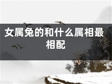 女属兔的和什么属相最相配