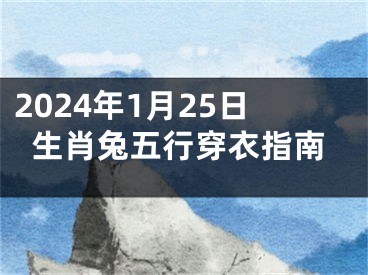 2024年1月25日生肖兔五行穿衣指南