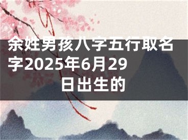余姓男孩八字五行取名字2025年6月29日出生的