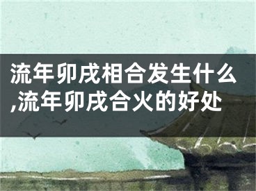 流年卯戌相合发生什么,流年卯戌合火的好处