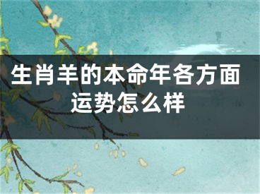生肖羊的本命年各方面运势怎么样