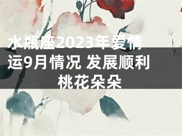 水瓶座2023年爱情运9月情况 发展顺利桃花朵朵