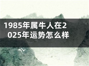 1985年属牛人在2025年运势怎么样