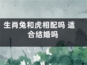 生肖兔和虎相配吗 适合结婚吗